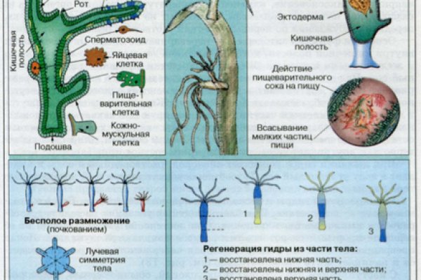 Кракен наркошоп ссылка