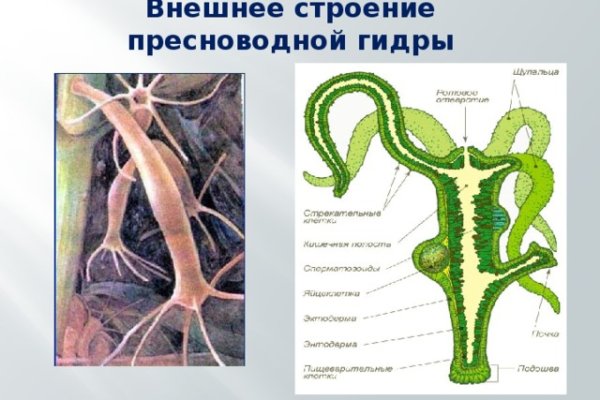 Кракен регистрация